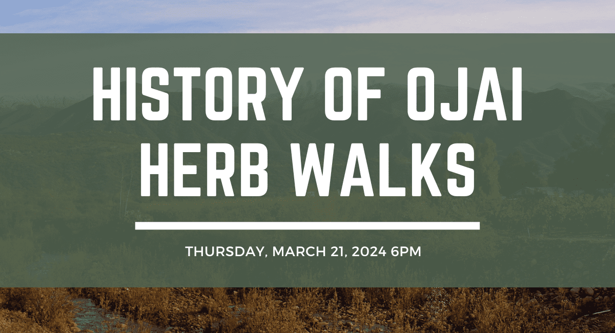 History_of_Ojai_Herb_Walks (1)
