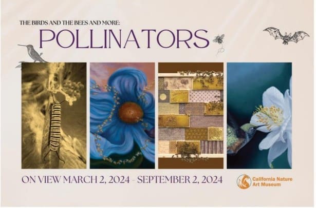 The Birds and the Bees and More: Pollinators