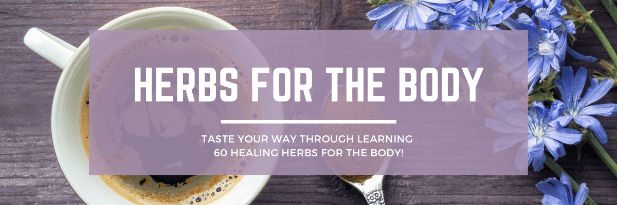 Herbs for the Body (Spring 2024)