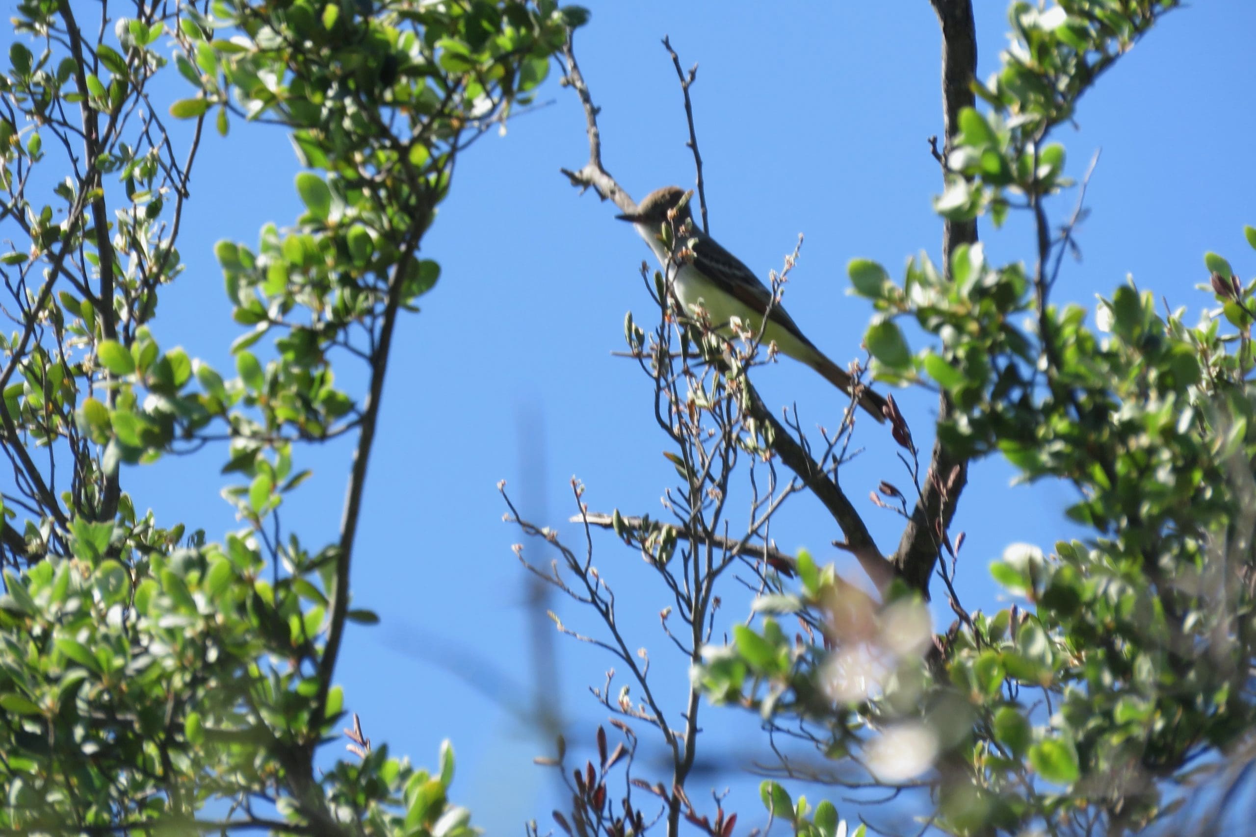 CHANNELKEEPER BOARD WALK