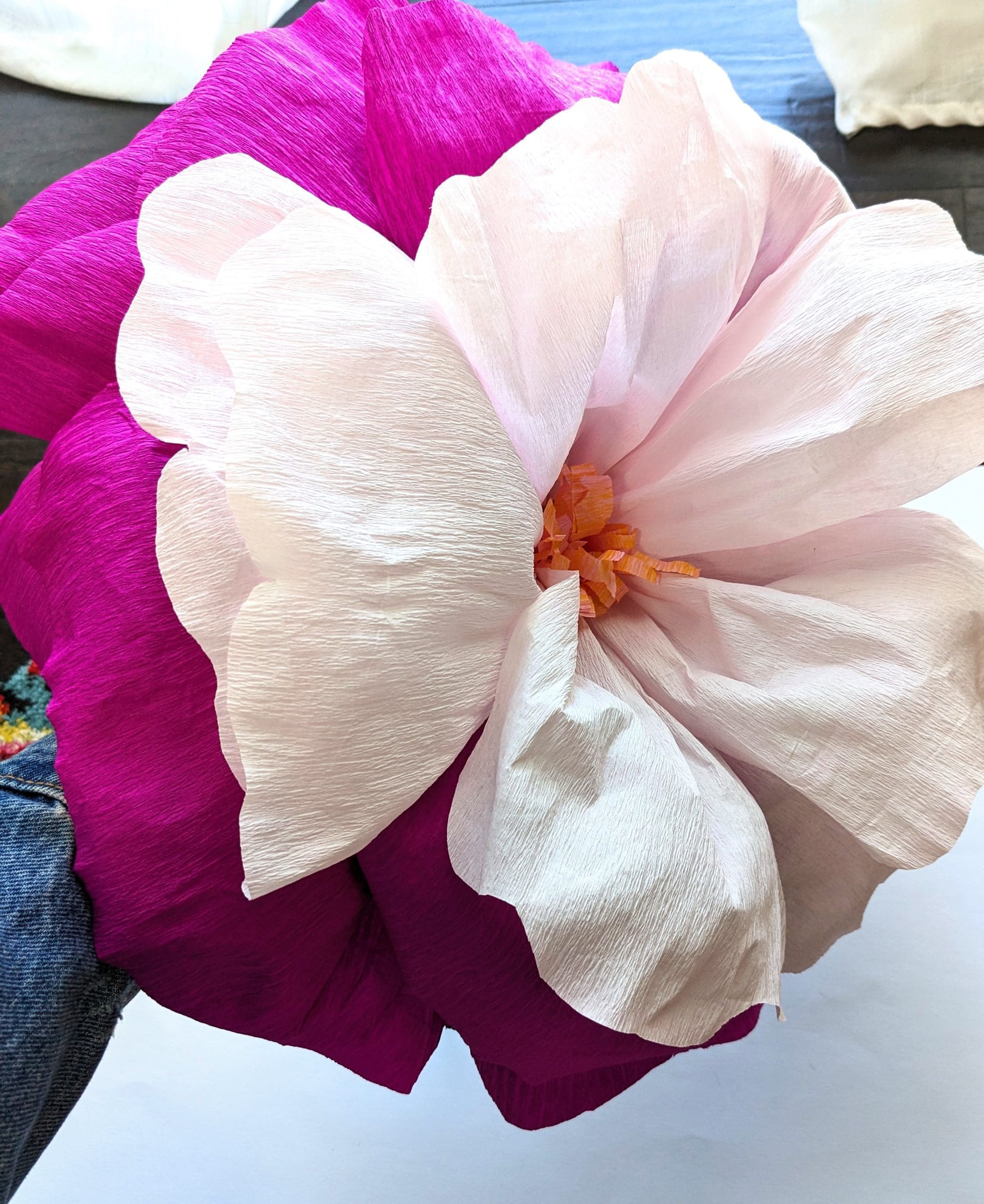 PXL_20240401_192137091