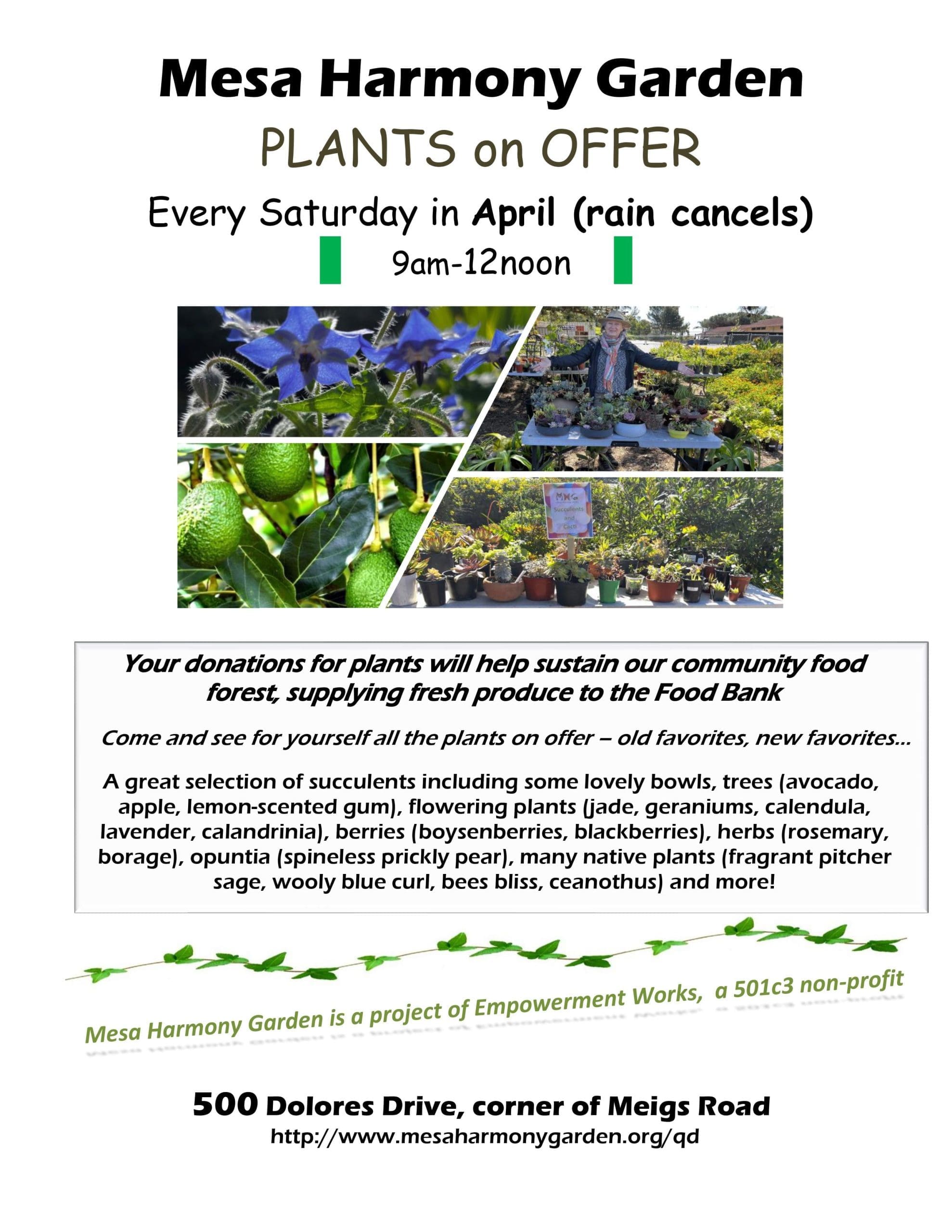 Mesa Harmony Garden Spring Plant Sale