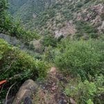 Stuck hiker rescued near Hot Springs trail in Montecito on May 20, 2024 (Photo: Santa Barbara County Search & Rescue)