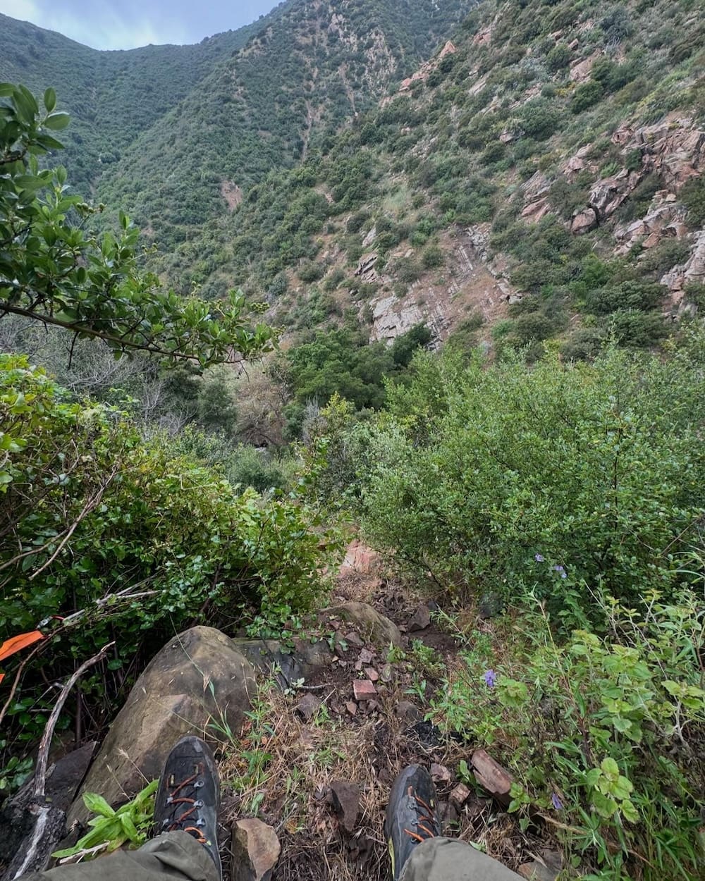Stuck hiker rescued near Hot Springs trail in Montecito on May 20, 2024 (Photo: Santa Barbara County Search & Rescue)
