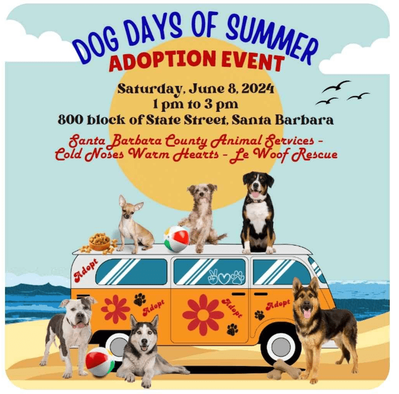 Dog Days of Summer Adoption Event
