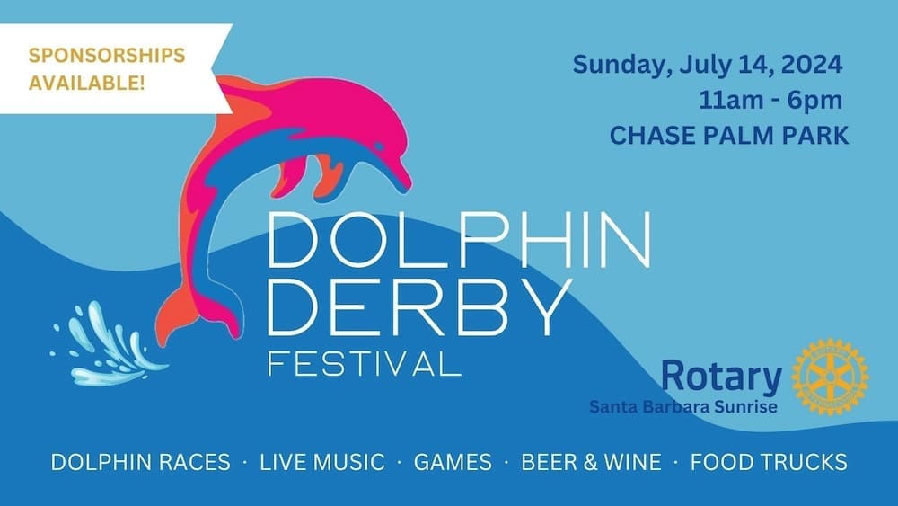 dolphin-derby-festival2024