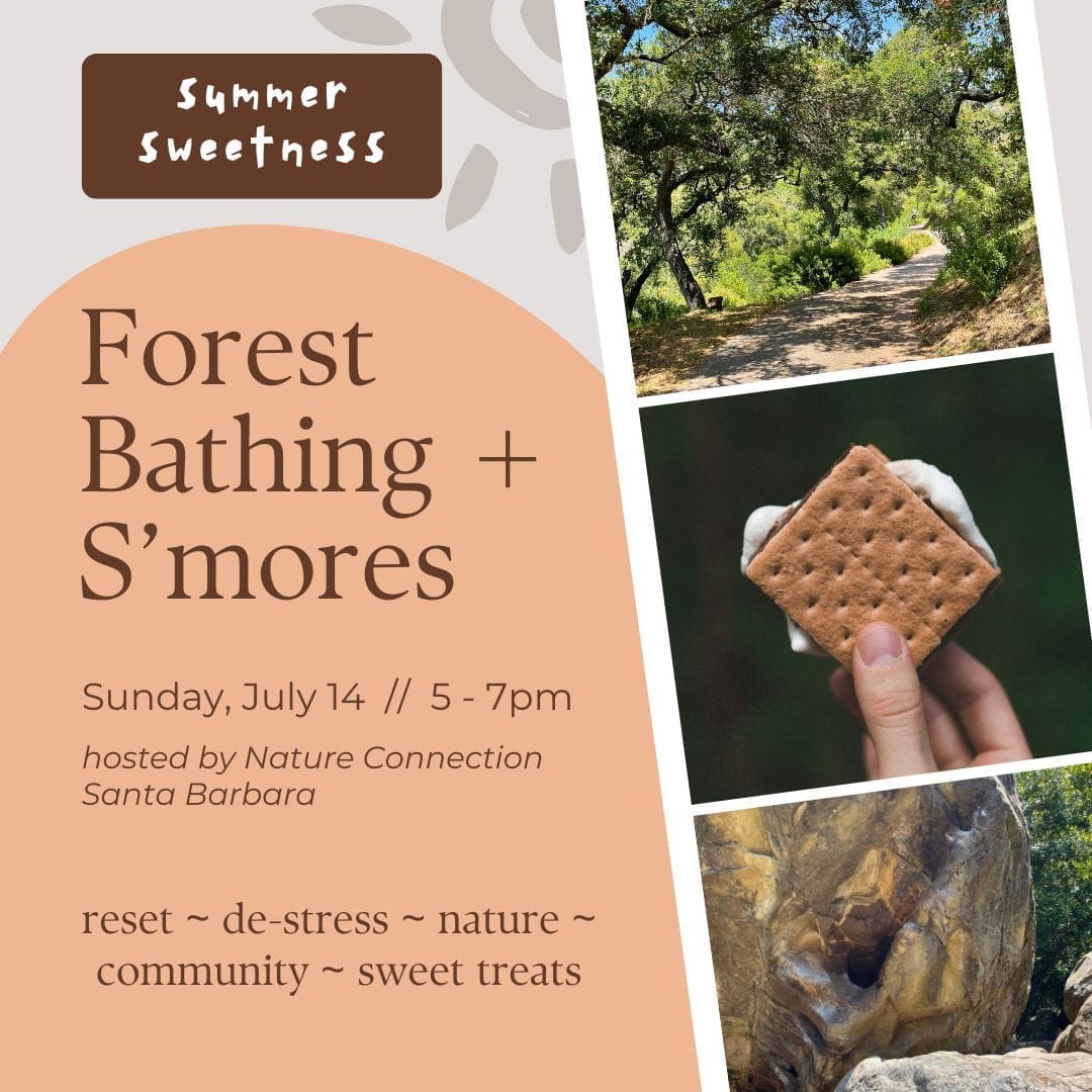 Forest Bathing and Smores