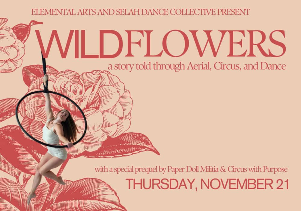 Red-Wildflowers-Banner-1000×700