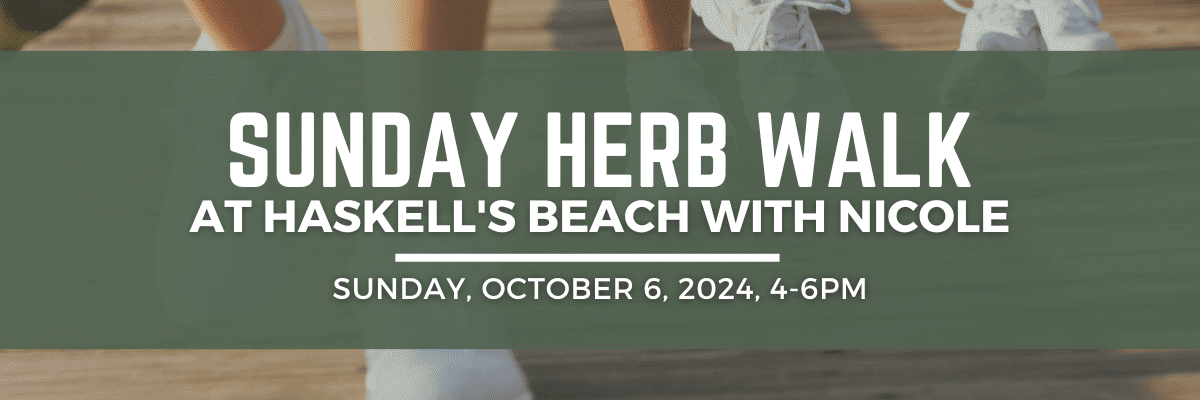 Sunday Herb Walk at Haskell’s Beach