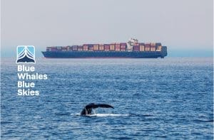 2025 Reports Show Voluntary Efforts Deliver Major Reductions in Whale Strike Risk, Noise, and Air Pollution