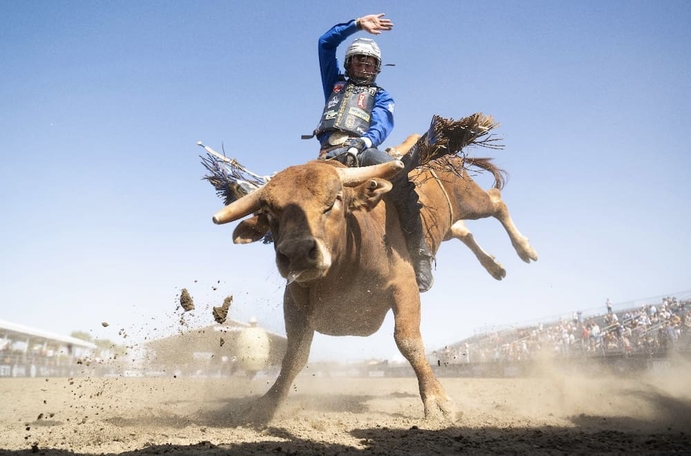Rodeo Beef: Fiesta Rodeo Relocates to Santa Ynez Valley while Earl ...