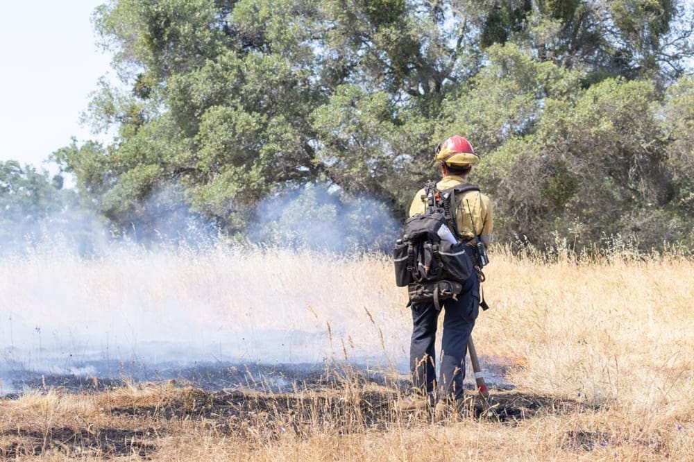 CAL FIRE Launches Online Viewer To Monitor Vegetation Burn Severity ...