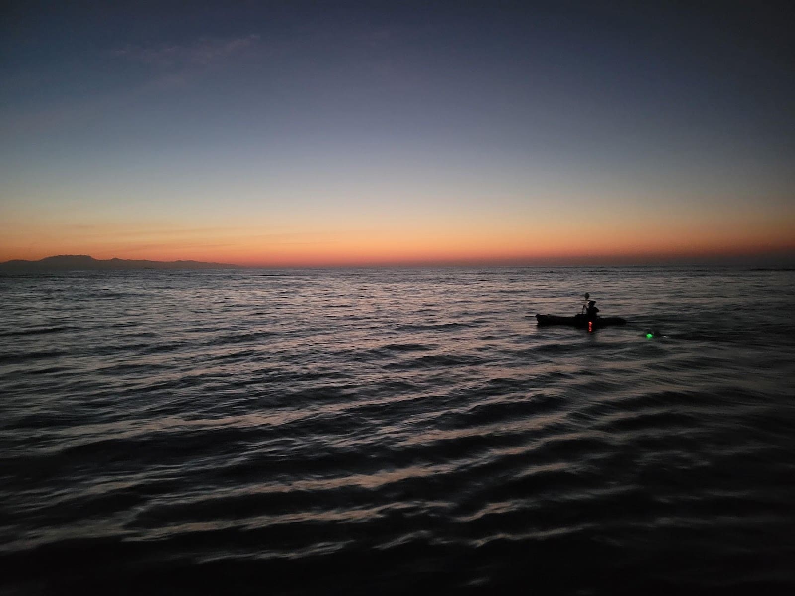 Swimming Home from Anacapa
