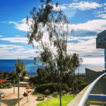 Procore Technologies. Image Source: Edhat database