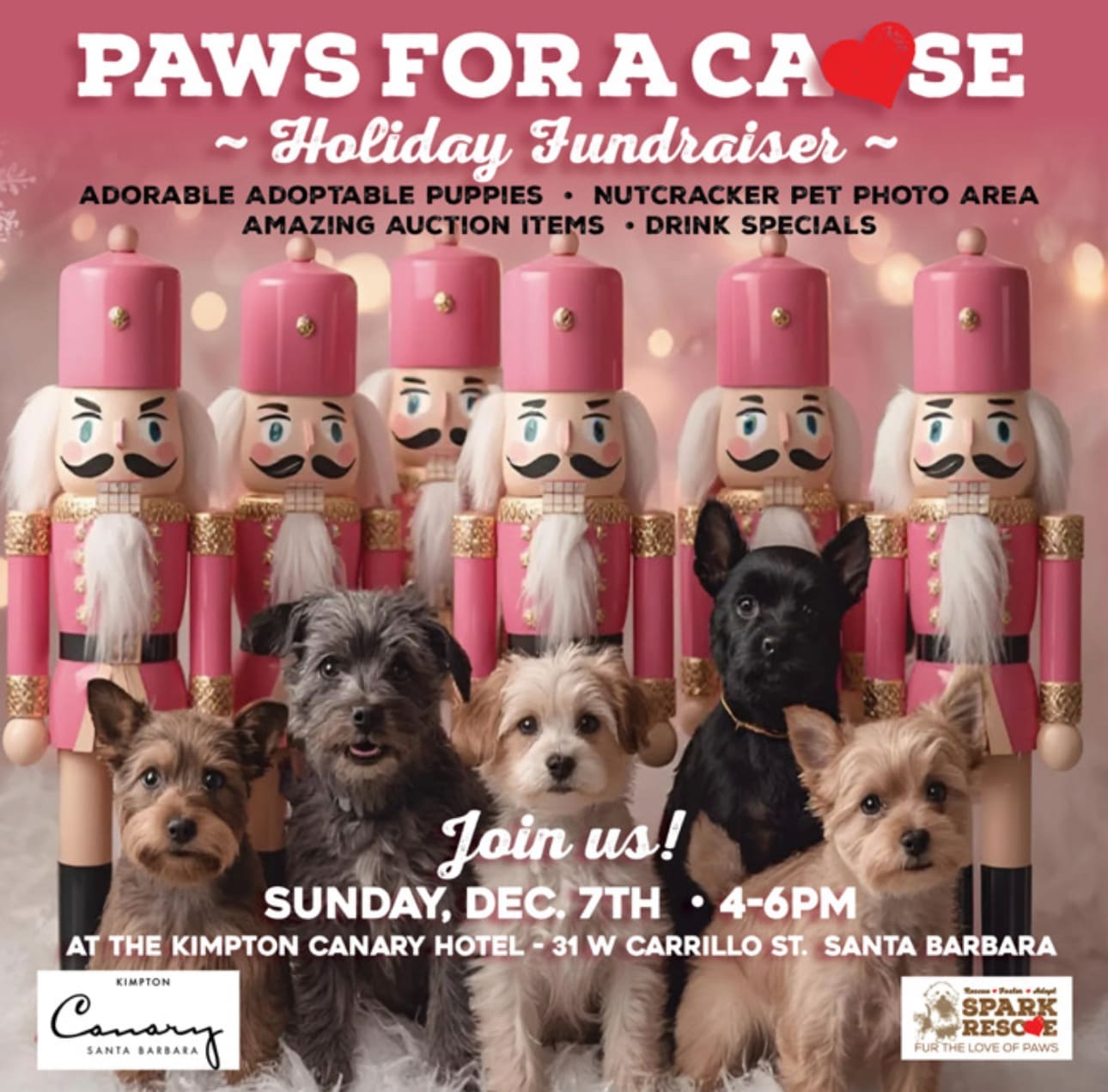Paws For A Cause