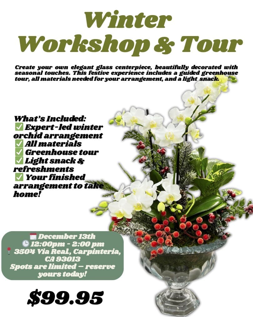 Winter Orchid Workshop & Greenhouse Tour