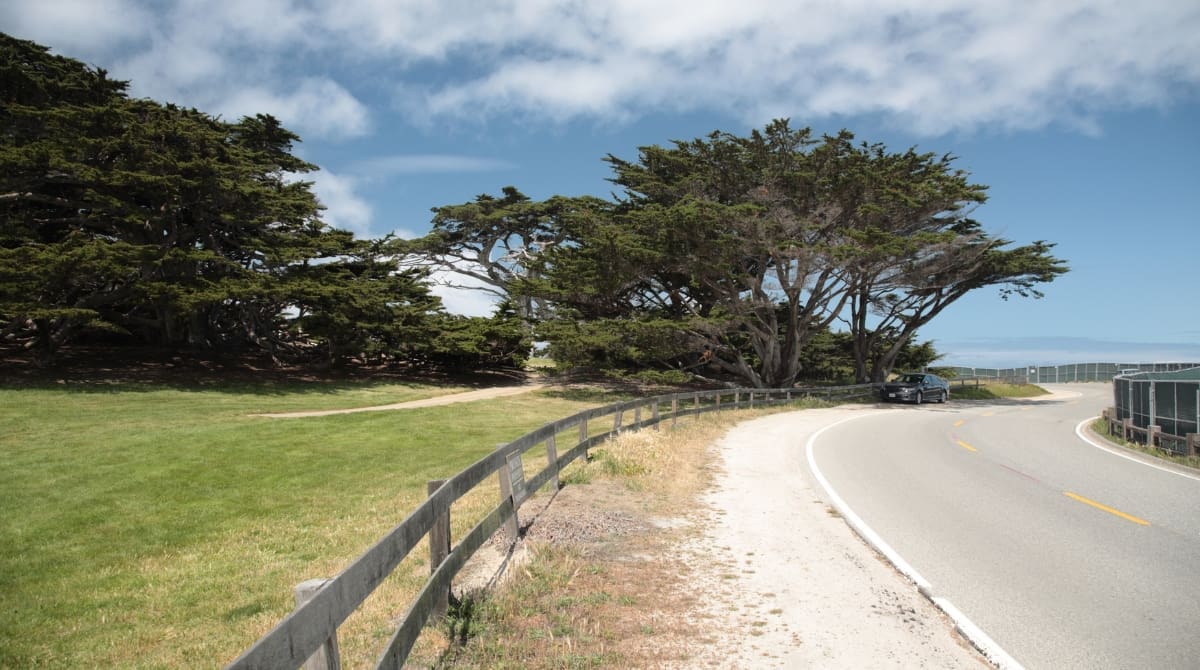 Representative picture of 17-Mile Drive, California. Image source: g01xm/Canva