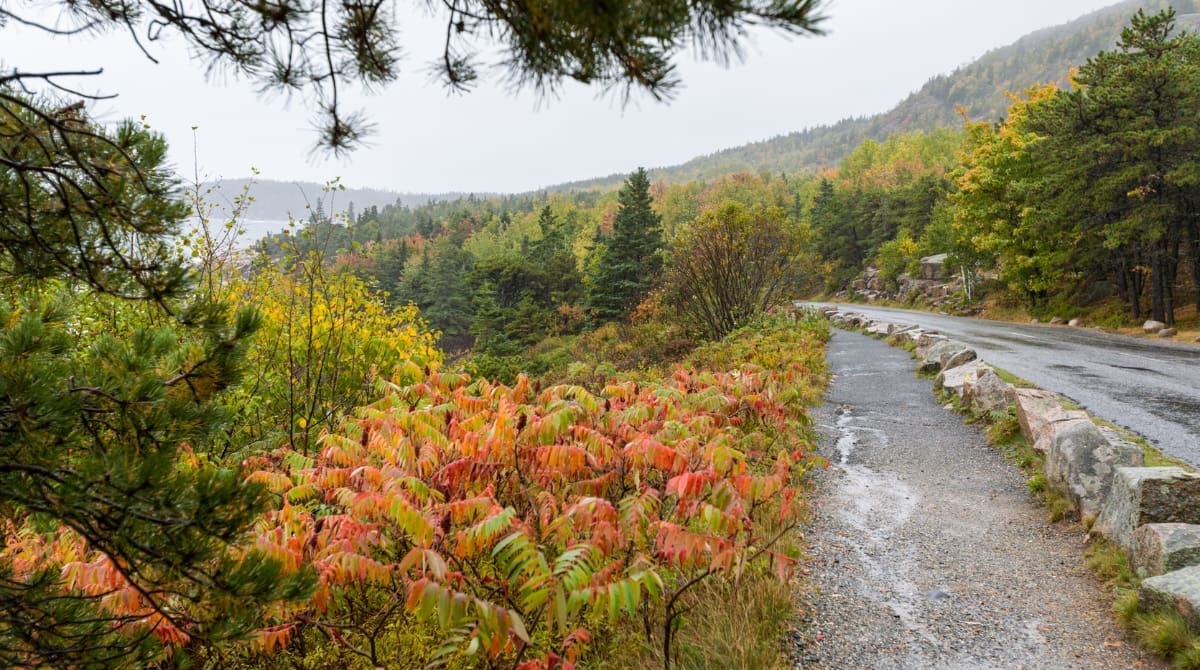 Representative picture of Acadia National Park Loop Road. Image source: jlwhaley