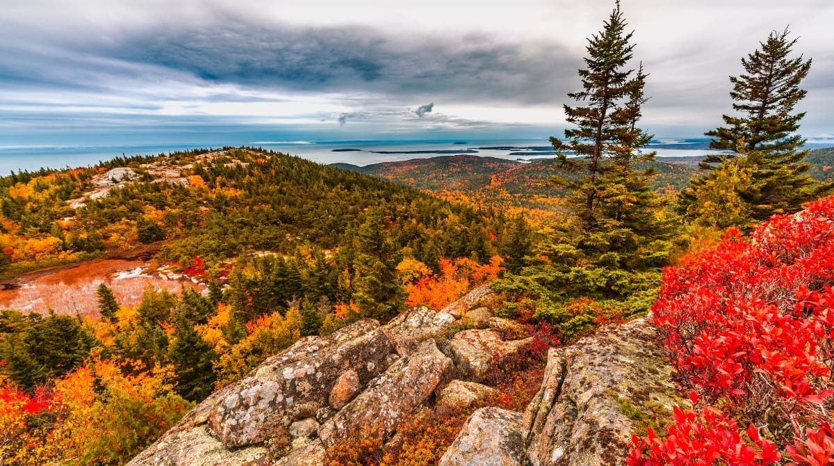 Representative picture of Acadia National Park. Image Source: Don Donelson/Canva