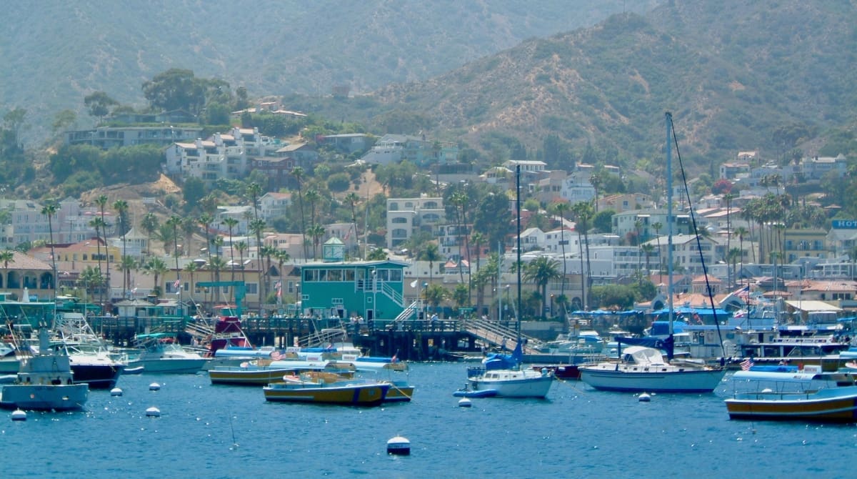 Anchored yachts at Avalon Harbor. Image Source: Westy72/Canva