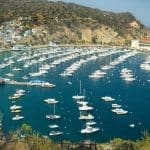 Representative picture of Avalon. Image Source: CDH_Design/Canva