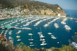 Representative picture of Avalon. Image Source: CDH_Design/Canva