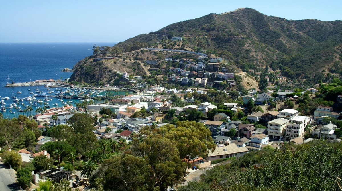 Representative picture of Avalon town on Catalina Island. Image Source: agleitz/Canva