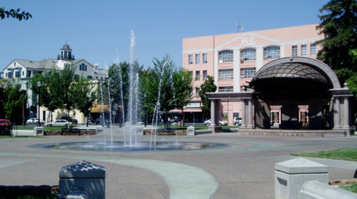 Representative picture of Chico. Image Source: Travisthurston/Canva