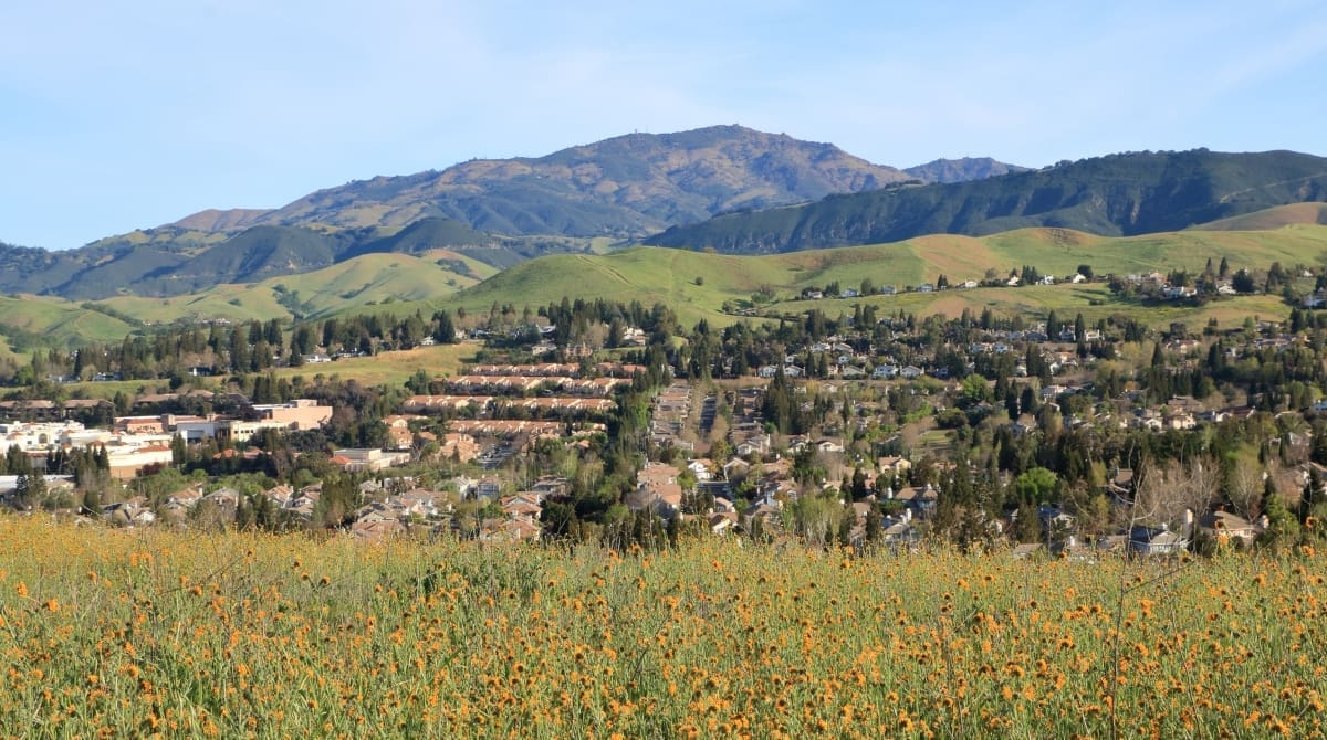 Representative picture of Danville. Image Source: (c) Salil Bhatt/Canva