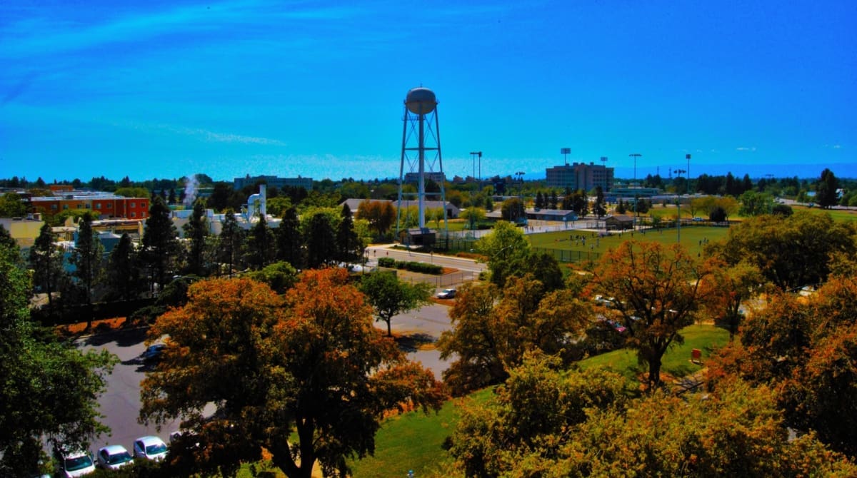 Representative picture of Davis. Image Source: Haven Lockhart/Canva