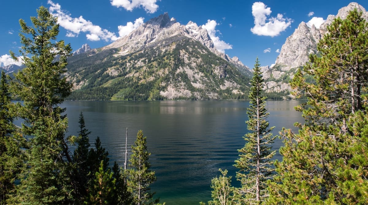 Representative picture of Grand Teton National Park. Image Source: daniloforcellini/Canva