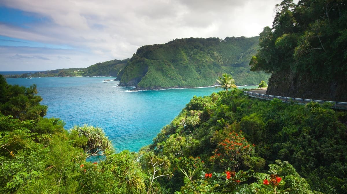 Representative picture of Hana Highway. Image source: wingmar/Canva