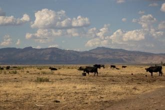 Representative picture. Image source: Kateywhat/Canva