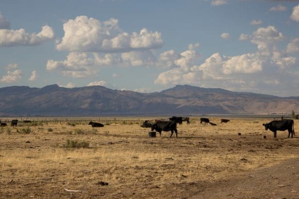 Representative picture. Image source: Kateywhat/Canva