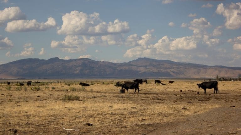 Representative picture. Image source: Kateywhat/Canva