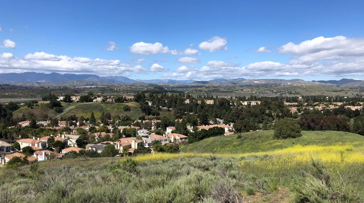 Representative picture of Moorpark. Image Source: Noahfgodard/Wikimedia Commons