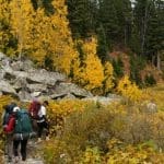 Representative picture. Image Source: Alex Moliski from Pexels/Canva