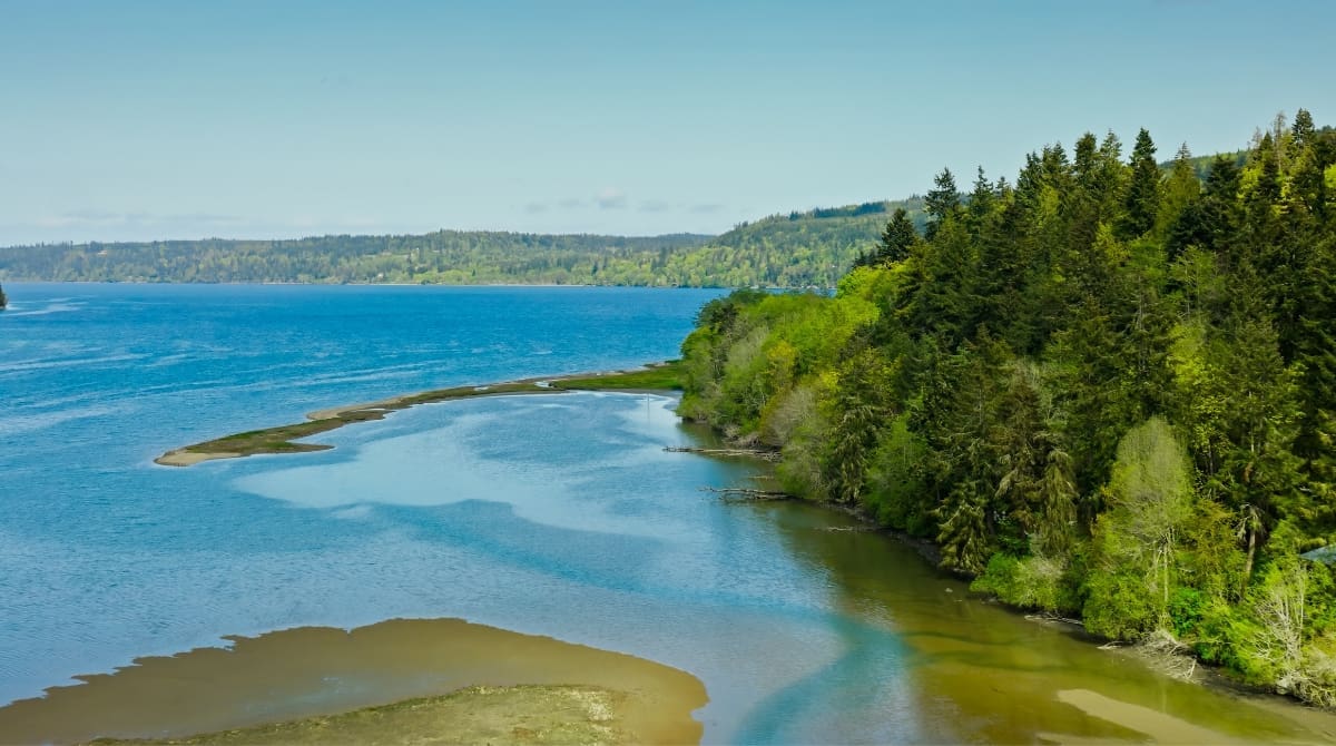 Representative picture of Olympic Peninsula. Image source: halbergman/Canva