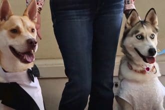 Briers and Mona Lisa at their wedding ceremony. Image Source: Video grab from County of San Luis Obispo Government's Facebook page