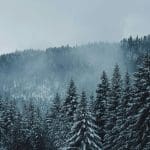 Representational picture. Image Source: Dawid Tkocz/Canva