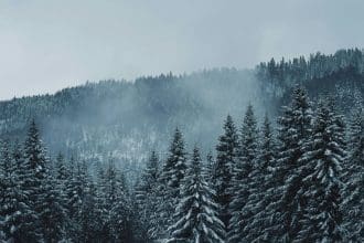 Representational picture. Image Source: Dawid Tkocz/Canva