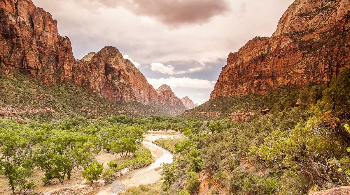 Representative picture of Zion National Park. Image Source: CarlosChavez Photography/Canva
