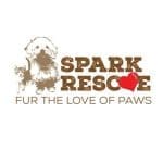 Spark Rescue