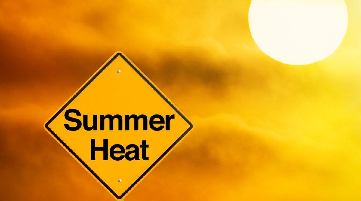 Representational picture. Image Source: MCCAIG/Canva