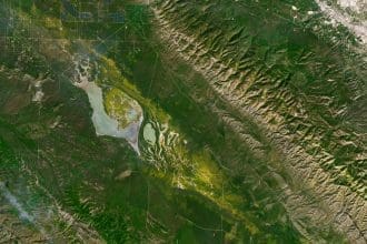 Common goldfield blooms around California’s Soda Lake in images captured on March 13, 2026, by the OLI (Operational Land Imager) on Landsat 9. Image Source: NASA Earth Observatory/Lauren Dauphin