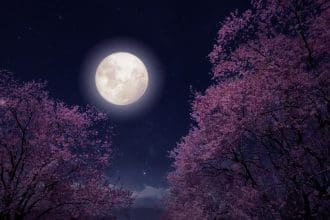 Representative picture. Image Source: jakkapan21/Canva
