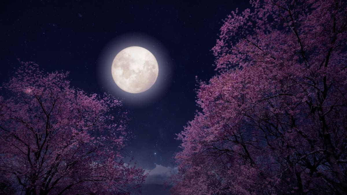 Representative picture. Image Source: jakkapan21/Canva