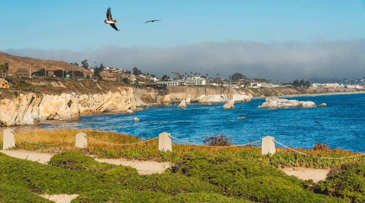 Representative picture of Shell Beach in San Luis Obispo County. Image Source: Nature, food, landscape, travel/Canva