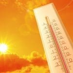 Representational picture. Image Source: African images/Canva