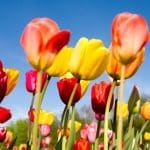 Representative picture. Image Source: Michael Kettner/Canva